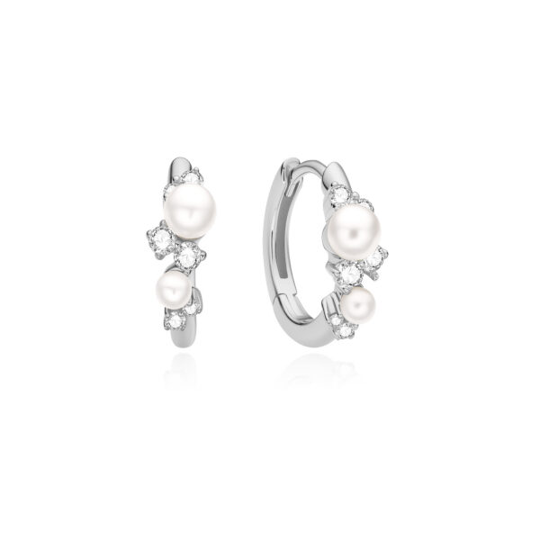 Ania Haie Earrings E074-05H