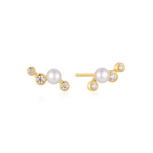 Ania Haie Earrings E074-11G