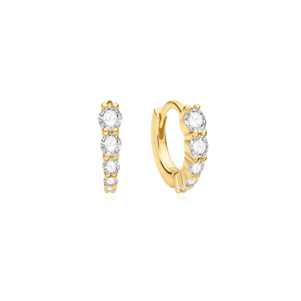 Ania Haie Earrings E075-03G