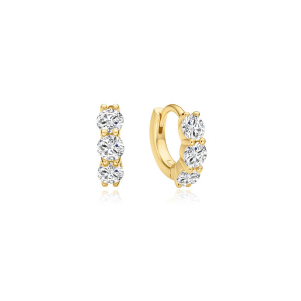 Ania Haie Earrings E075-04G