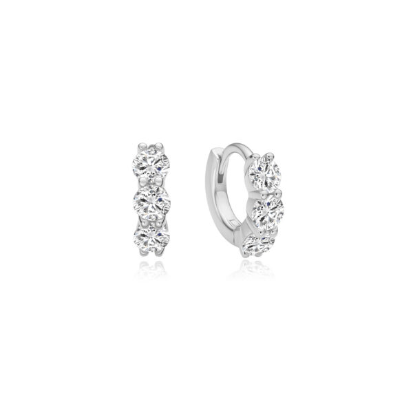 Ania Haie Earrings E075-04H