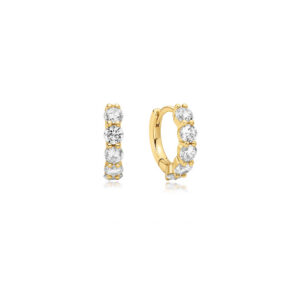 Ania Haie Earrings E075-05G