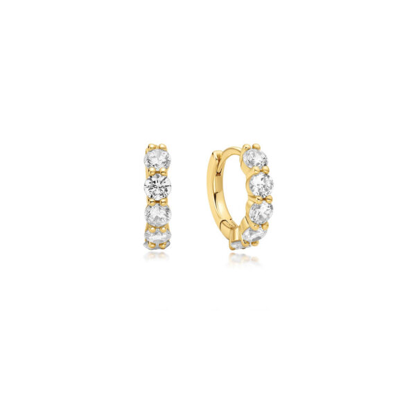 Ania Haie Earrings E075-05G