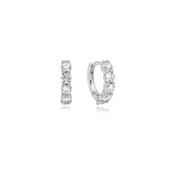 Ania Haie Earrings E075-05H