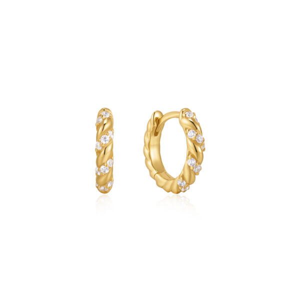 Ania Haie Earrings E075-07G