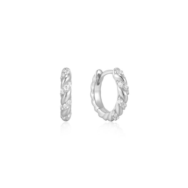 Ania Haie Earrings E075-07H