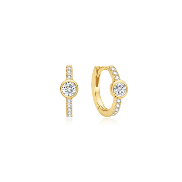Ania Haie Earrings E075-08G
