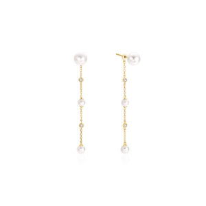Ania Haie Earrings E075-11G