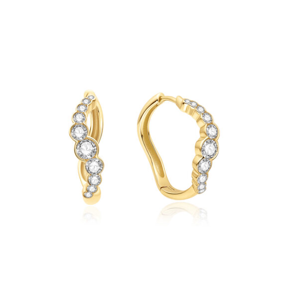 Ania Haie Earrings E075-13G