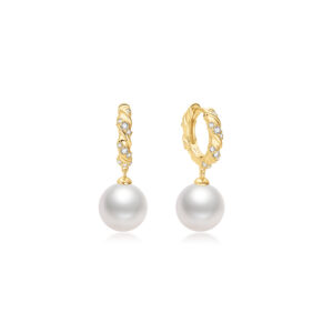 Ania Haie Earrings E075-14G