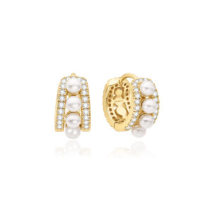 Ania Haie Earrings E075-15G