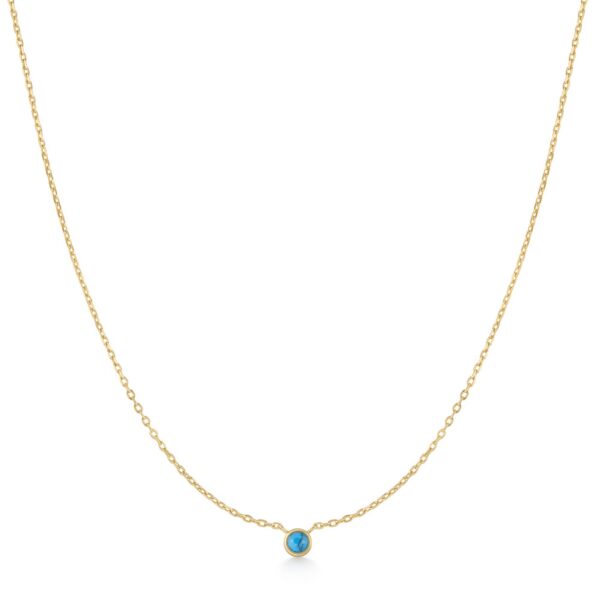 Ania Haie Necklace N073-01G