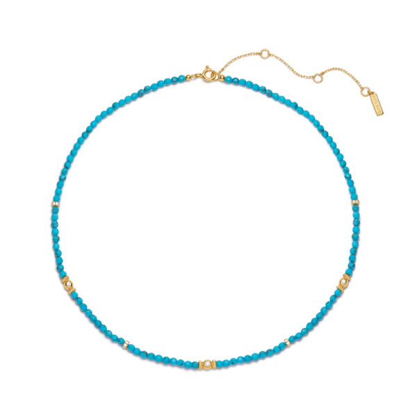 Ania Haie Necklace N073-02G