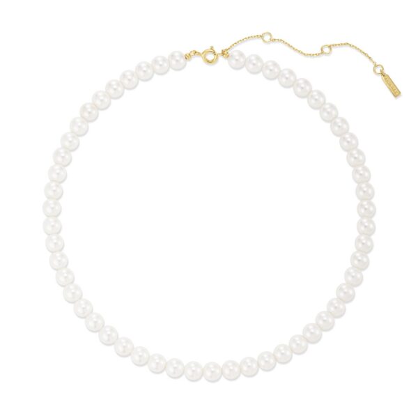 Ania Haie Necklace N075-03G