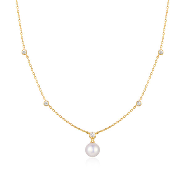 Ania Haie Necklace N075-09G