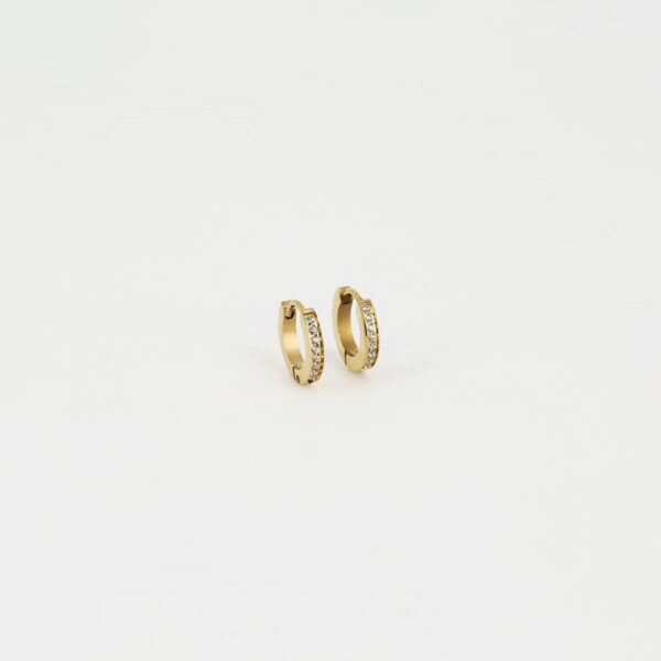 ZAG Earrings SEC14656-01WHT