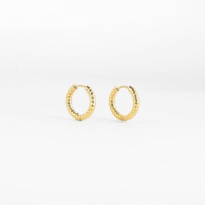 ZAG Earrings SEC21335-01UNI3X12