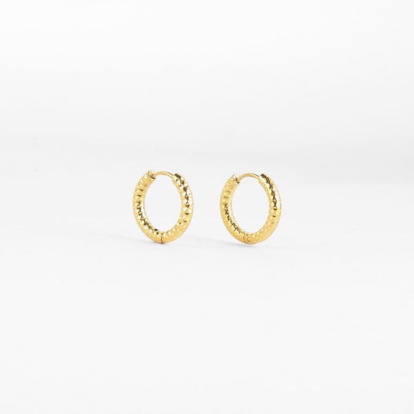 ZAG Earrings SEC21335-01UNI3X12