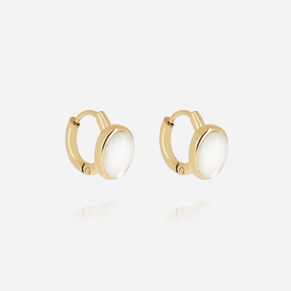 ZAG Earrings SEC26632-01SEL