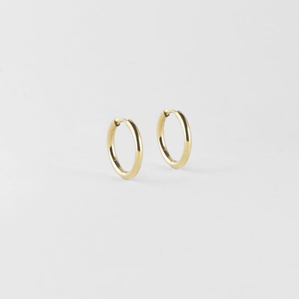 ZAG Earrings SEC5879-01UNI