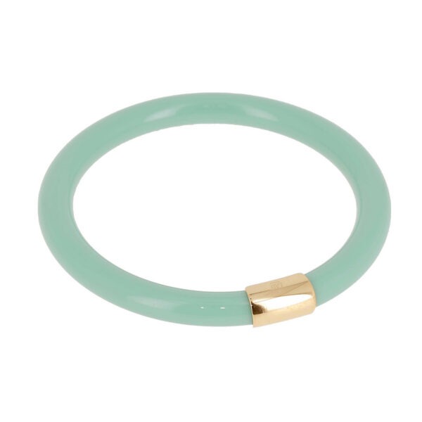 ZAG Bracelet SBJ28054-01TQB62