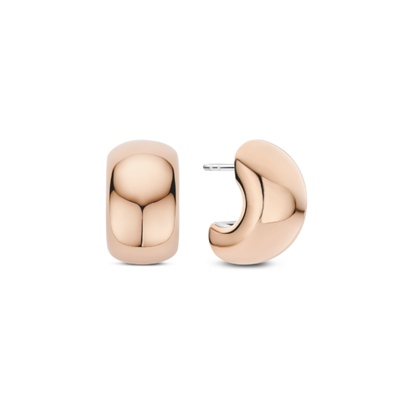 TI SENTO Earrings 78048SR
