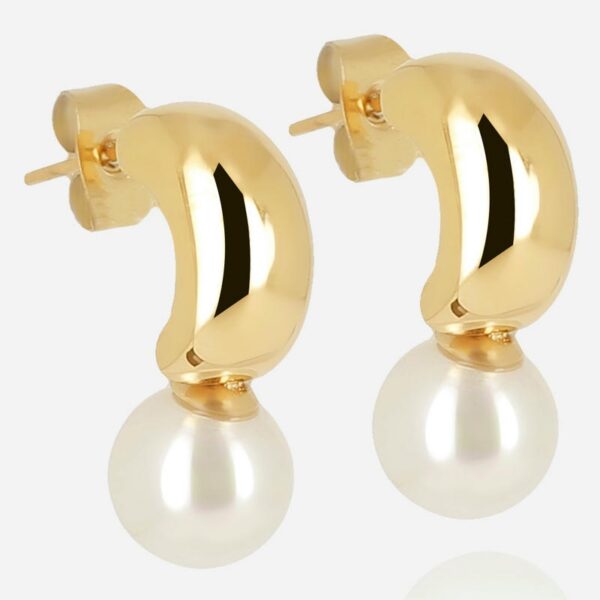 ZAG Earrings SEM21819-01SEL
