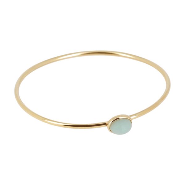 ZAG Bracelet SBJ27640-01AQU