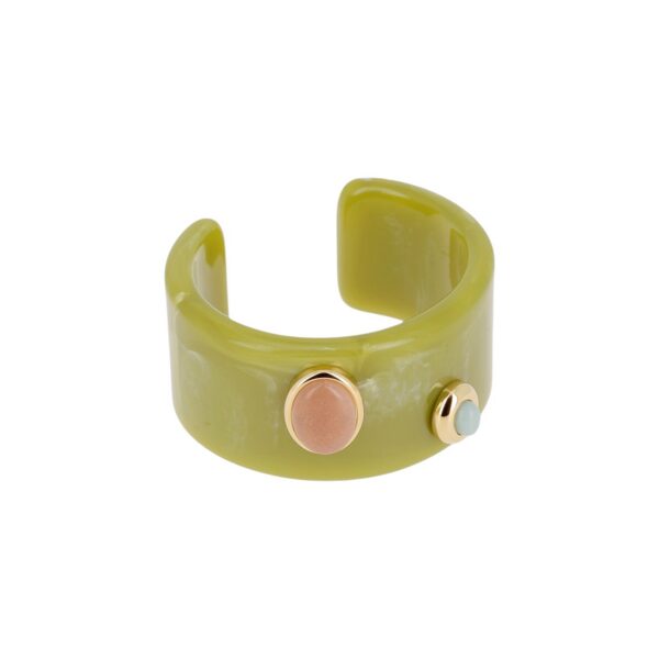 ZAG Bracelet SBJ27950-01GRN