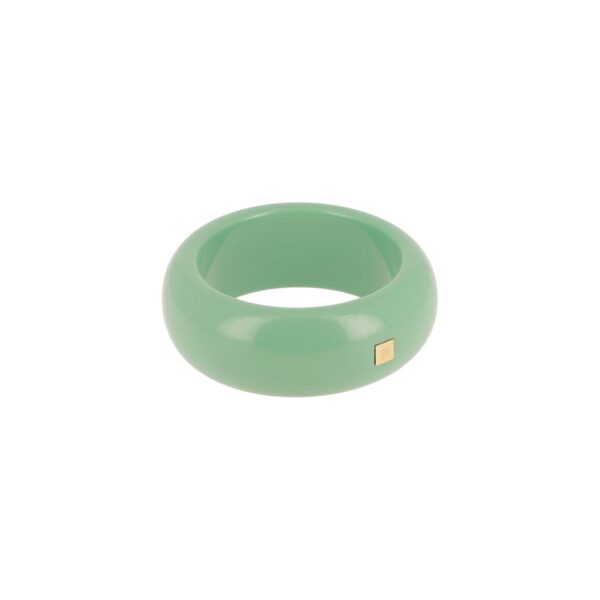 ZAG Bracelet SBJ28096-01TQB