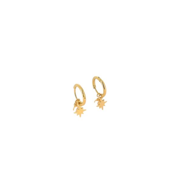 ZAG Earrings SEC10950-01SEL