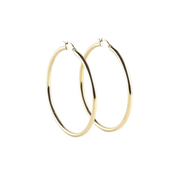 ZAG Earrings SEC21277-01UNI3X60