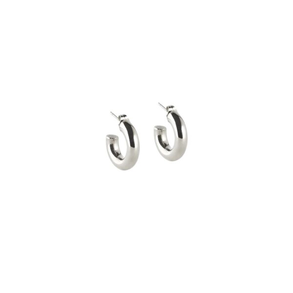 ZAG Earrings SEC21313-00UNI5X20