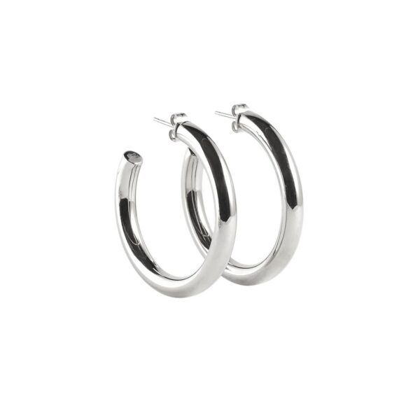ZAG Earrings SEC21313-00UNI5X40