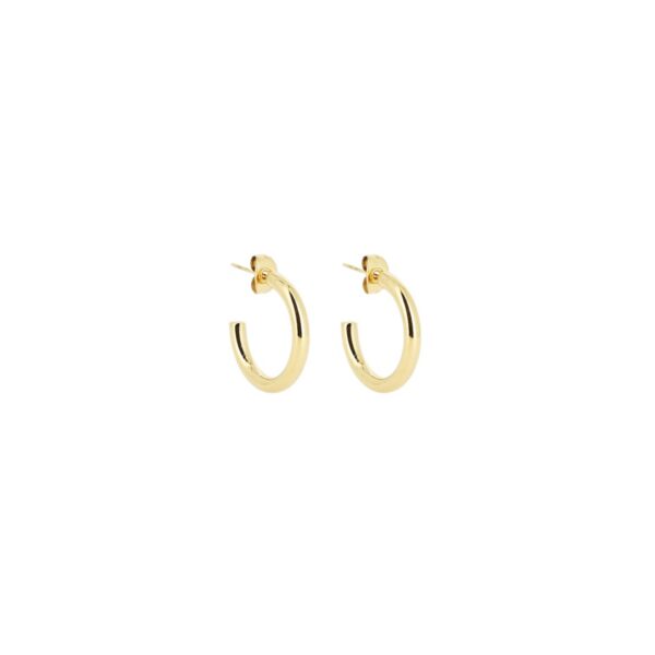 ZAG Earrings SEC21313-01UNI3X20