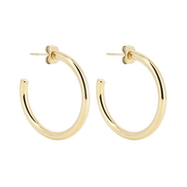 ZAG Earrings SEC21313-01UNI3X30