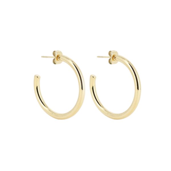 ZAG Earrings SEC21313-01UNI3X40