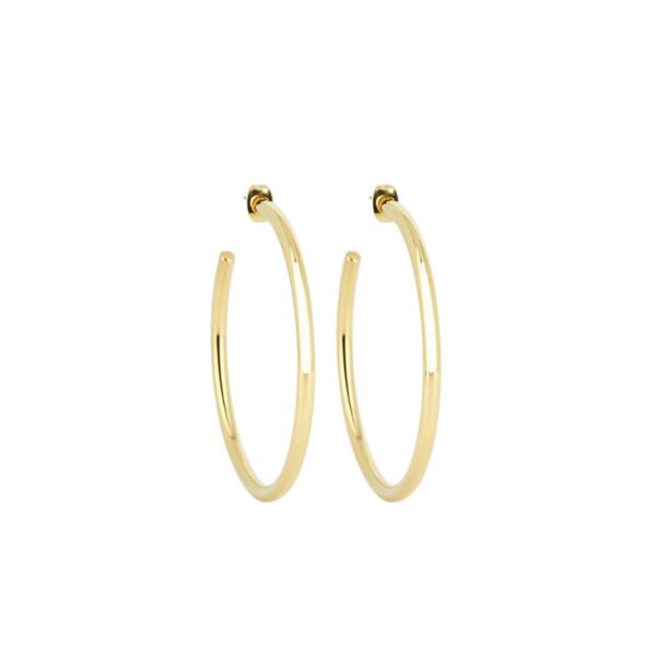 ZAG Earrings SEC21313-01UNI3X50
