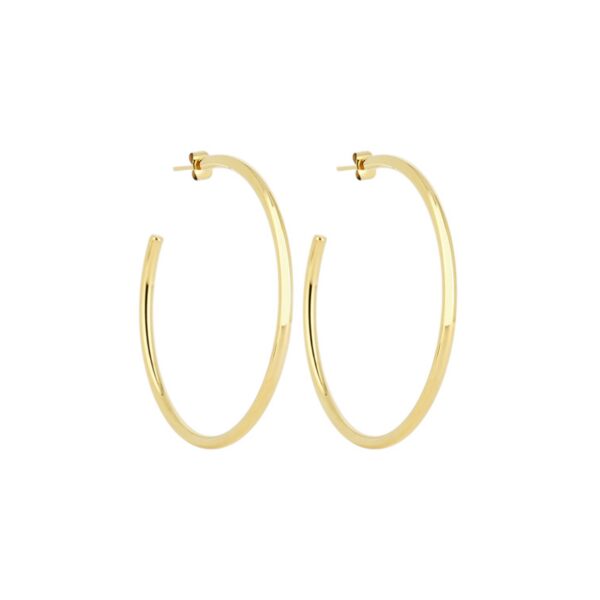 ZAG Earrings SEC21313-01UNI3X60