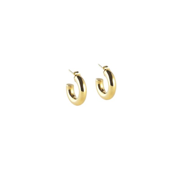 ZAG Earrings SEC21313-01UNI5X20