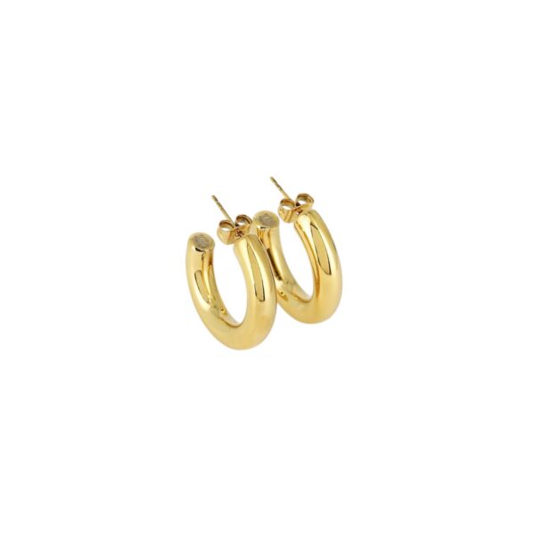 ZAG Earrings SEC21313-01UNI5X25