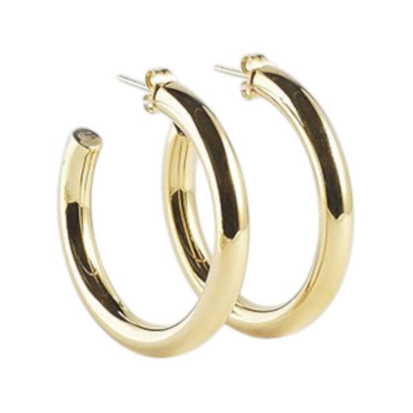 ZAG Earrings SEC21313-01UNI5X40