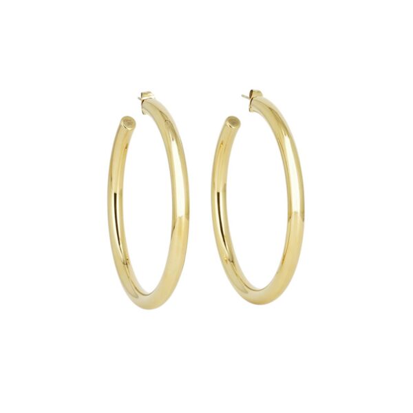 ZAG Earrings SEC21313-01UNI5X60