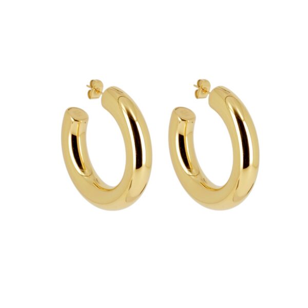 ZAG Earrings SEC21313-01UNI6X30