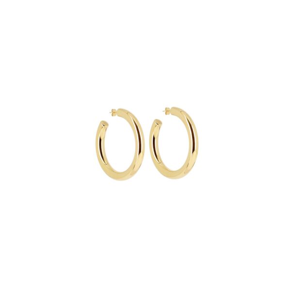 ZAG Earrings SEC21313-01UNI8X60