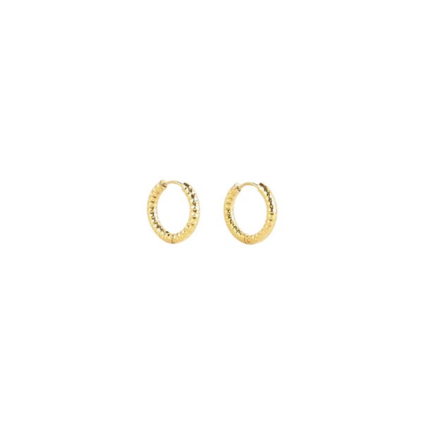 ZAG Earrings SEC21335-01UNI3X12