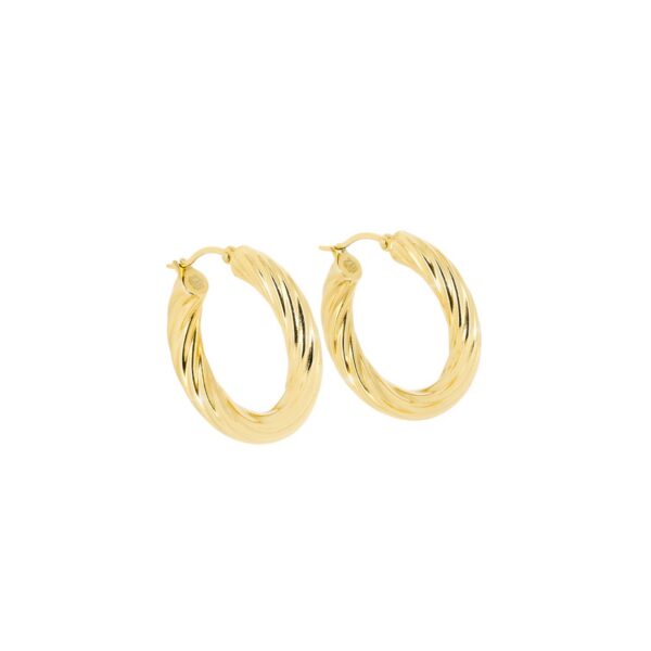 ZAG Earrings SEC21341-01UNI5X30