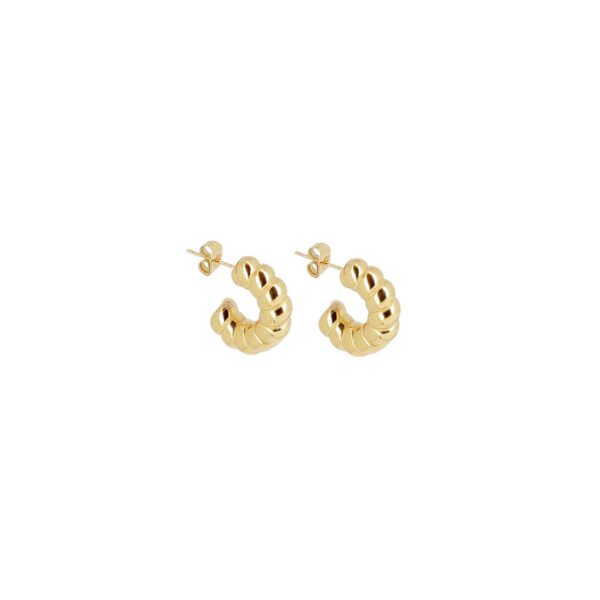 ZAG Earrings SEC22960-01UNI