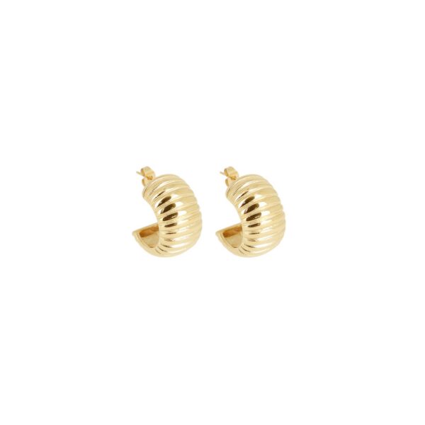 ZAG Earrings SEC22981-01UNI