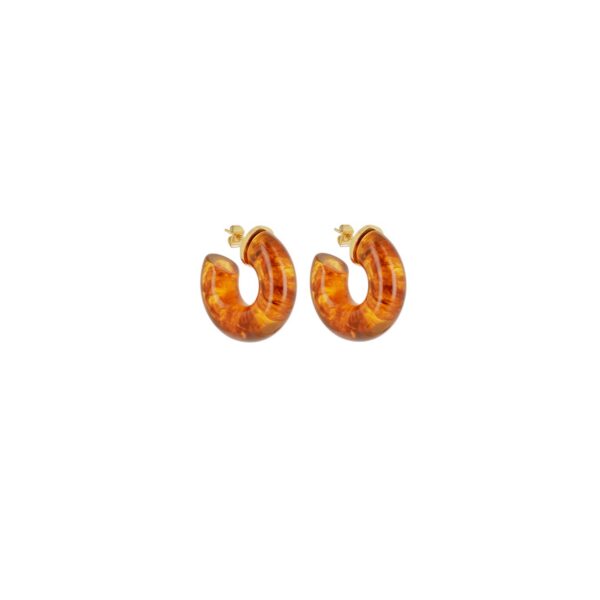 ZAG Earrings SEC23382-01CFE